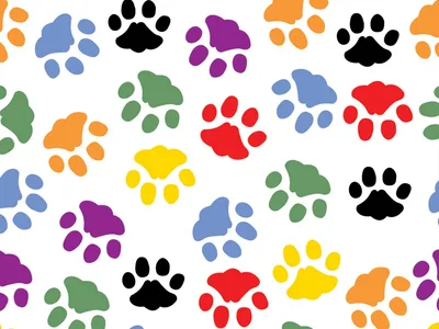 FUNNY CAP - Footstep - M