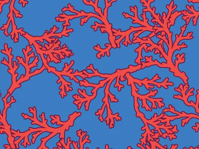 Funny cap - Coral - M