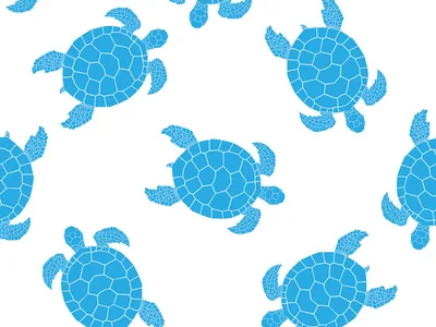 FUNNY CAP - Turtle - M