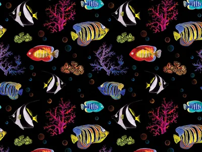 FUNNY CAP - Reef - M