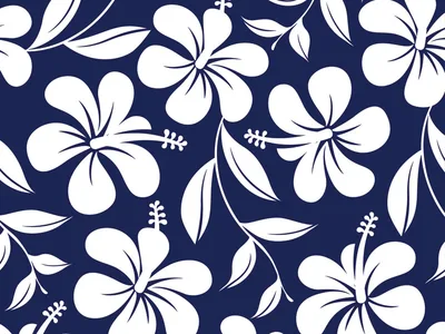 Funny cap - Hawaii - M