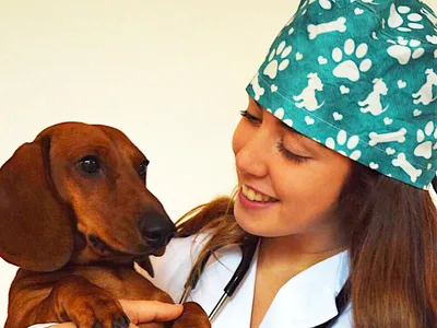 FUNNY CAP - Veterinary - M