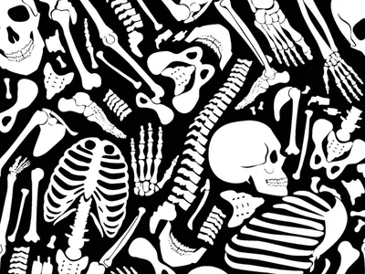 FUNNY CAP - Skeleton - M