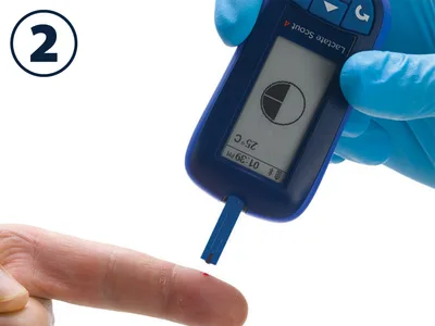 Lactate Scout 4