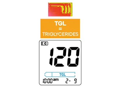 Benzi pentru trigliceride - pentru 23965/66/67, 24147/48/49, 24150/51/52/53