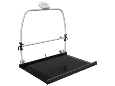 Cântar digital de platformă WUNDER RW2.0 MOVE cu balustradă și roți 300 kg - Clasa III