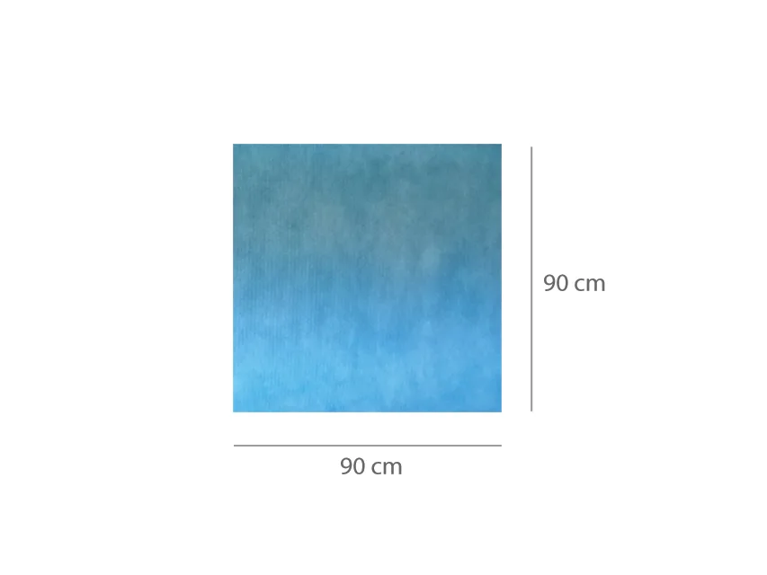 Covorașe impermeabile, absorbente, pre-tăiate 90x90 cm