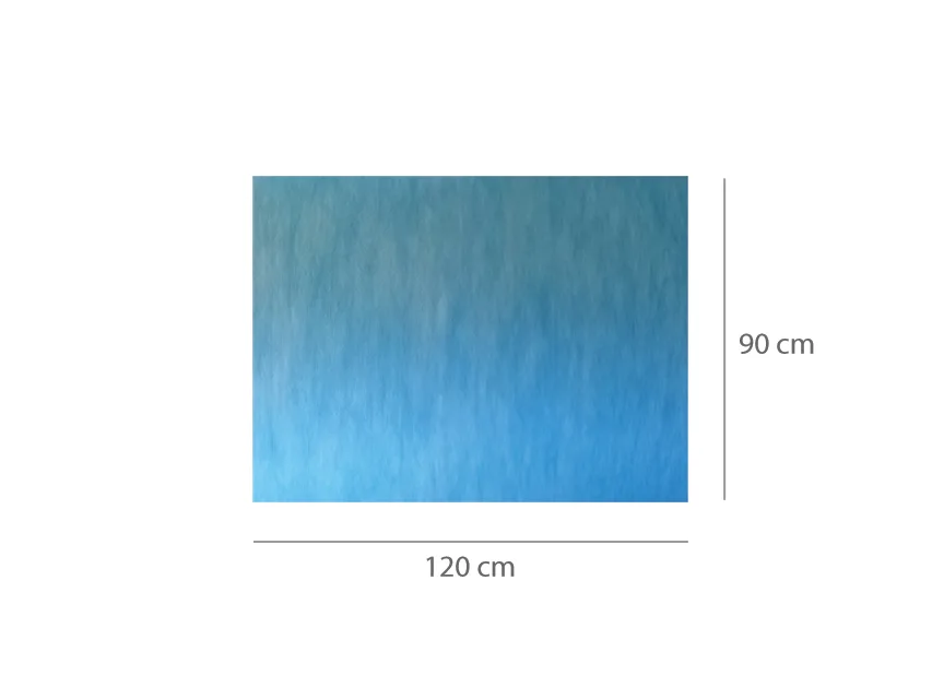 Covorase absorbante impermeabile pre-tăiate 90x120 cm