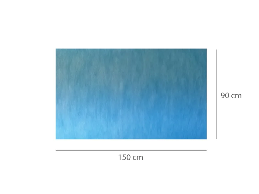 Covoraș absorbant impermeabil pre-tăiat 90x150 cm