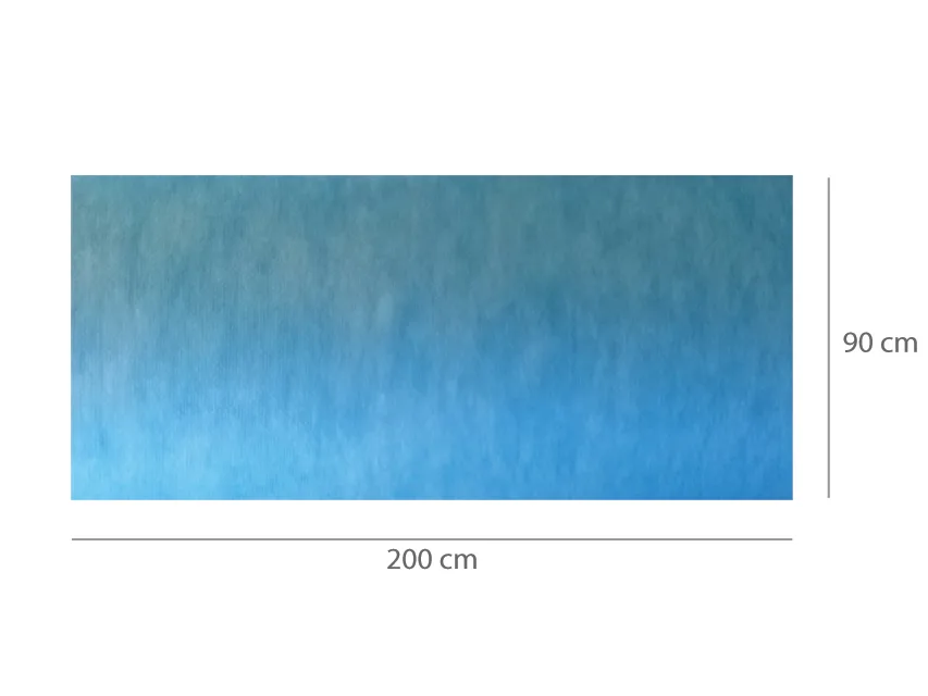 Covorașe absorbante impermeabile predecosite 90x200 cm