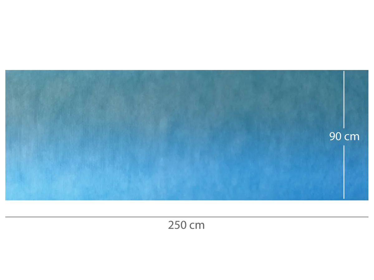 Covorașe impermeabile, absorbante, pre-tăiate 90x250 cm