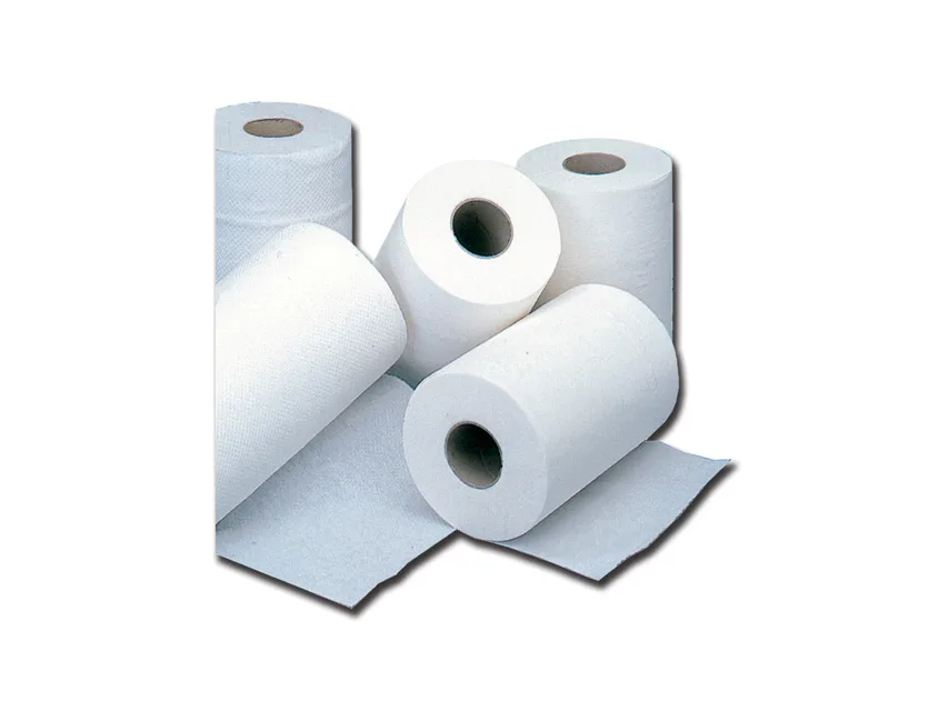 Role de hârtie pentru mâini - 2 straturi