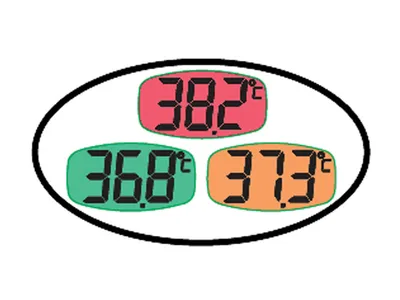 Termometru digital BL3 cu ecran larg °C - cutie de agățat