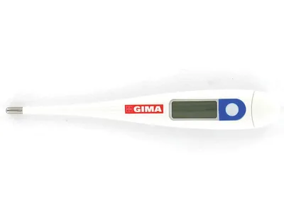Termometru digital W-P °C - cutie standard, rezistent la apă