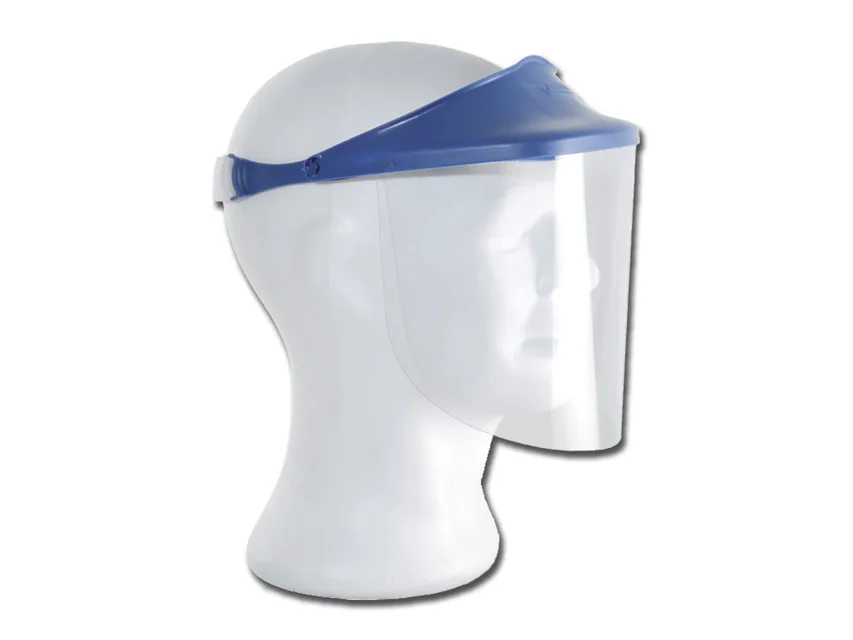 Visor shield