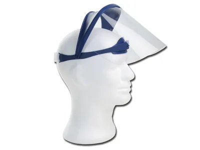Visor shield