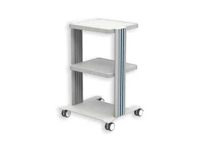 Easy cart - 2 rafturi 40x36 cm + bază