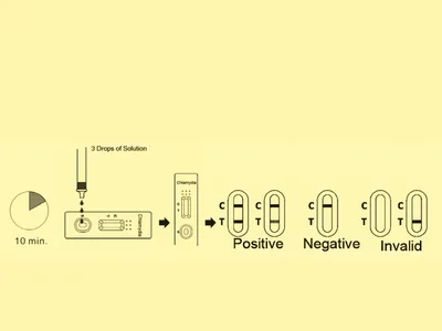 Test rapid chlamydia - profesional