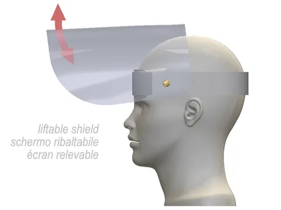 Protective shield - ridabil