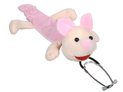 Husă porc pentru stetoscop