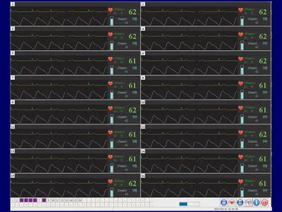 Software de stație centrală