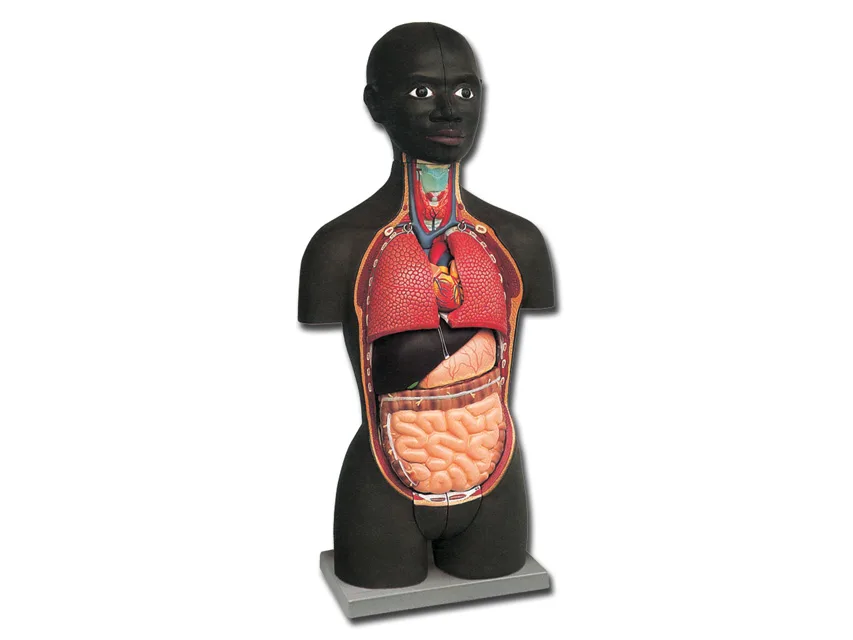 Mini torso - african - 16 piese