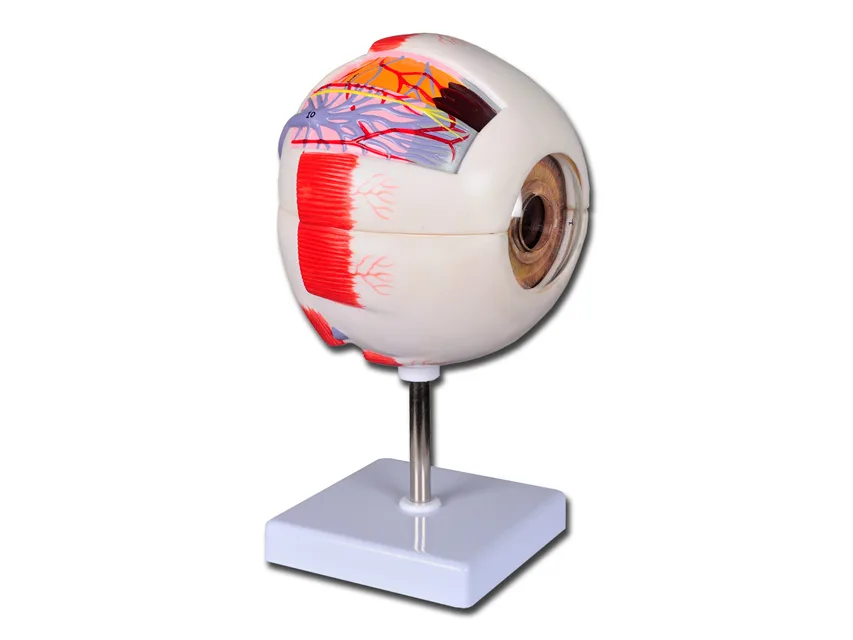 Value eye - 6 piese - 6X