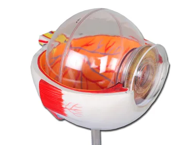 Value eye - 6 piese - 6X