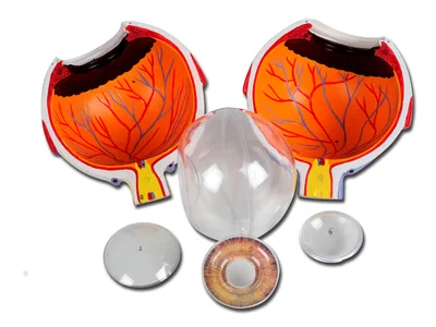 Value eye - 6 piese - 6X