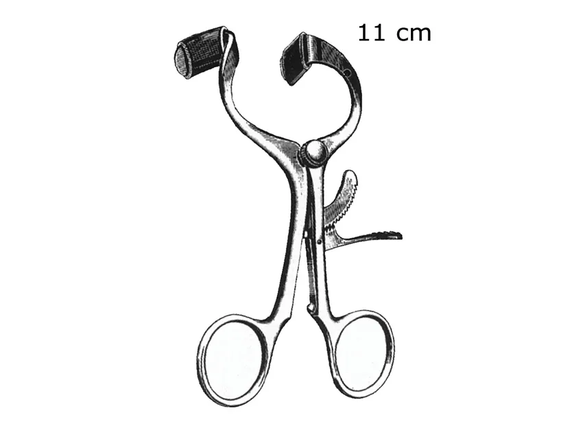 Gag bucal Molt - 11 cm