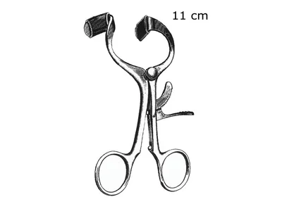 Gag bucal Molt - 11 cm