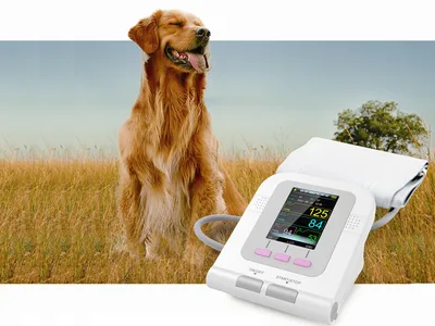 Sfigmomanometru electronic veterinar