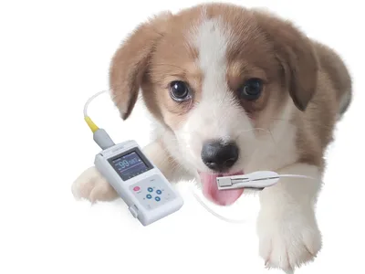 OXY-50 VET Pulsoximetru cu software